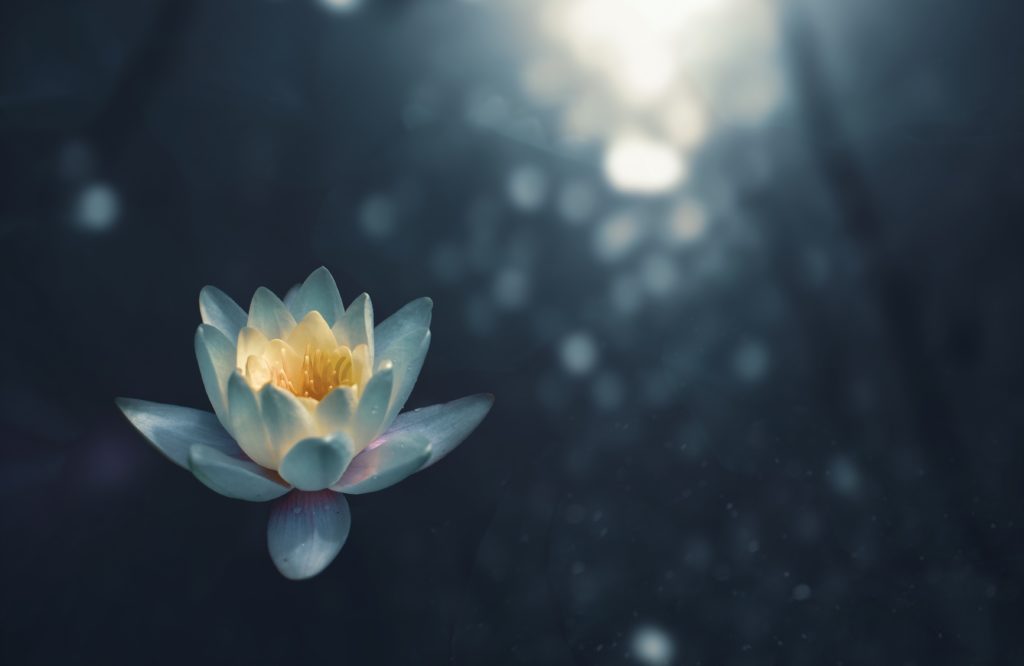 mindfulness